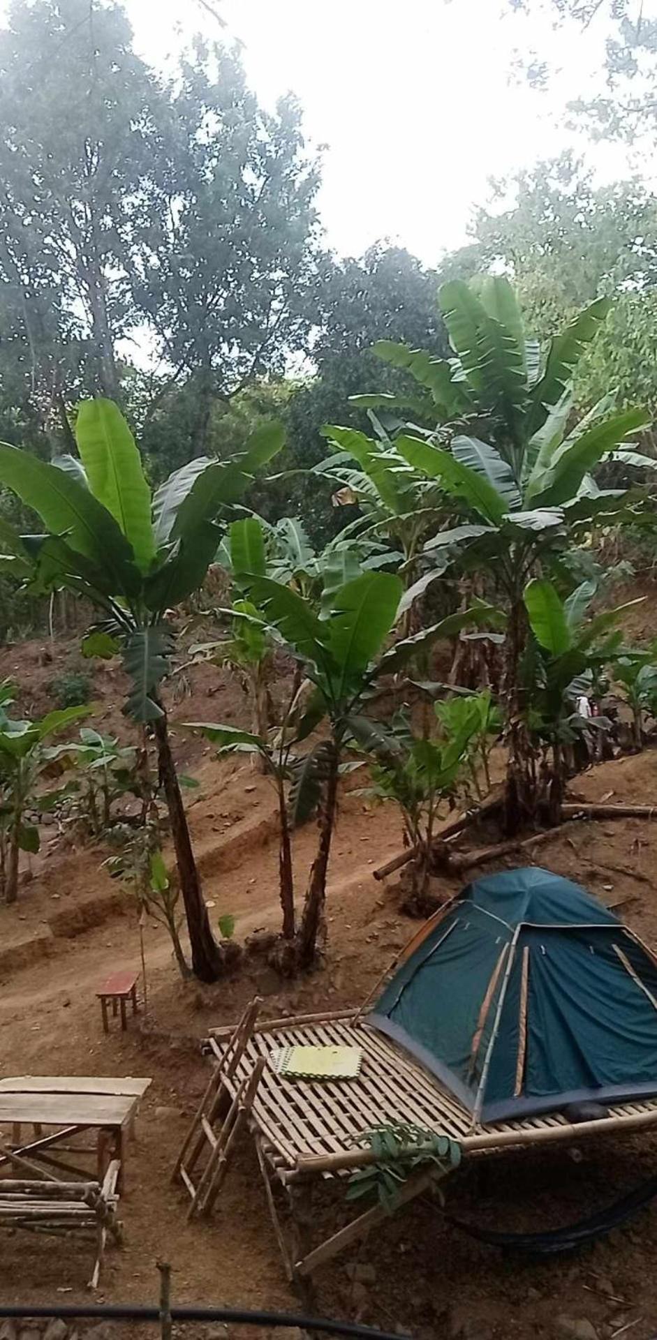 Camping Ground @ Eastdee Lidlidda Otel Dış mekan fotoğraf