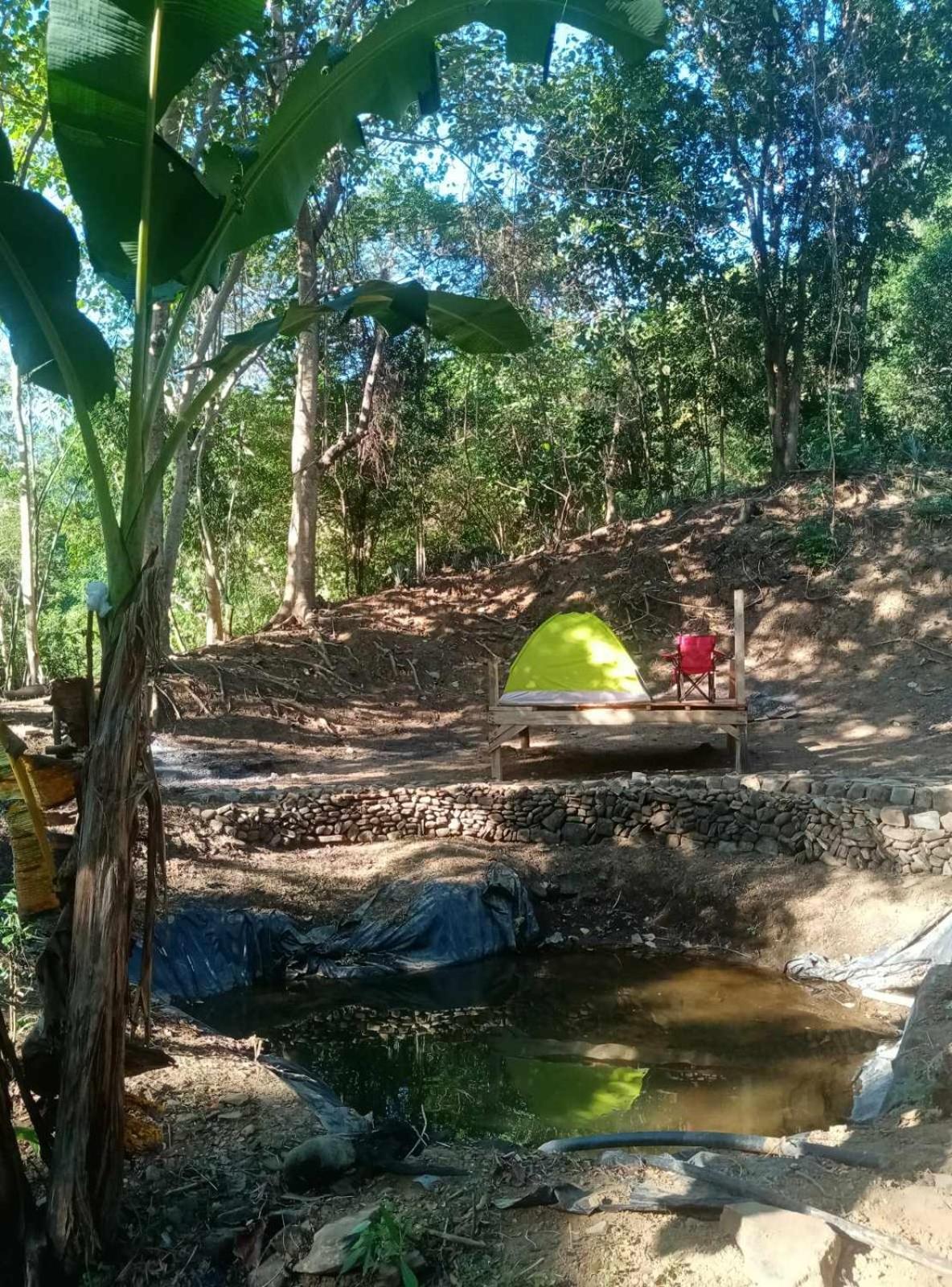 Camping Ground @ Eastdee Lidlidda Otel Dış mekan fotoğraf