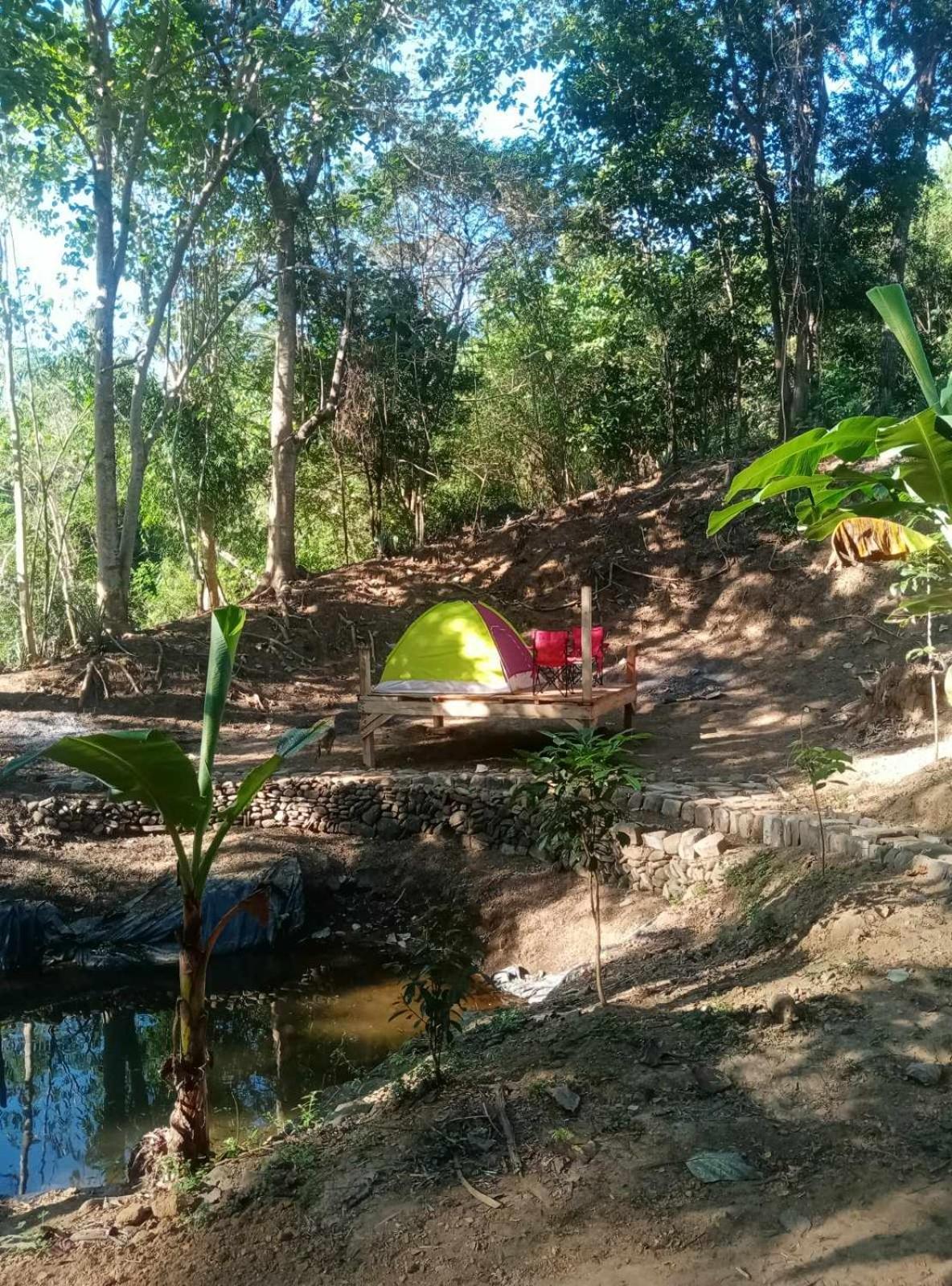 Camping Ground @ Eastdee Lidlidda Otel Dış mekan fotoğraf